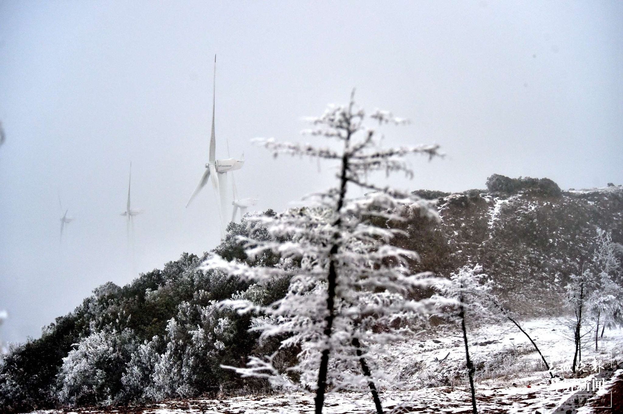 者磨山雾凇奇观,惊艳大理冬日时光! (11).jpg