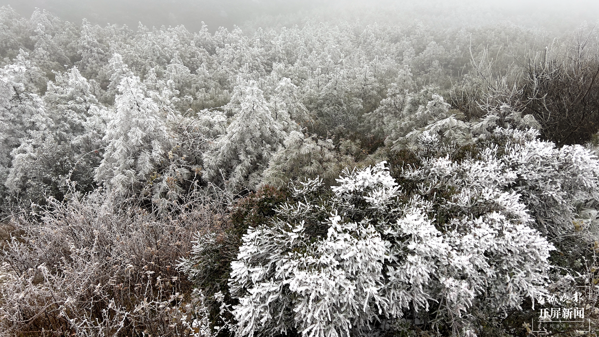 者磨山雾凇奇观,惊艳大理冬日时光! (4).png