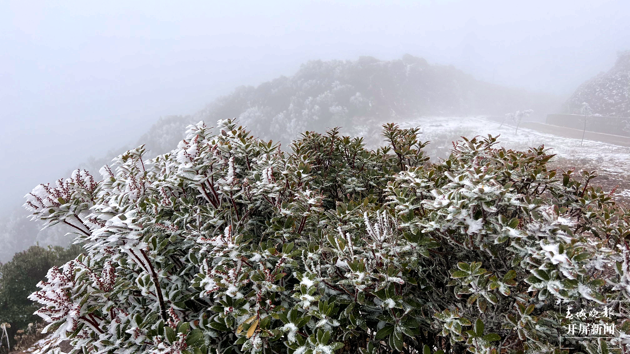者磨山雾凇奇观,惊艳大理冬日时光! (6).png