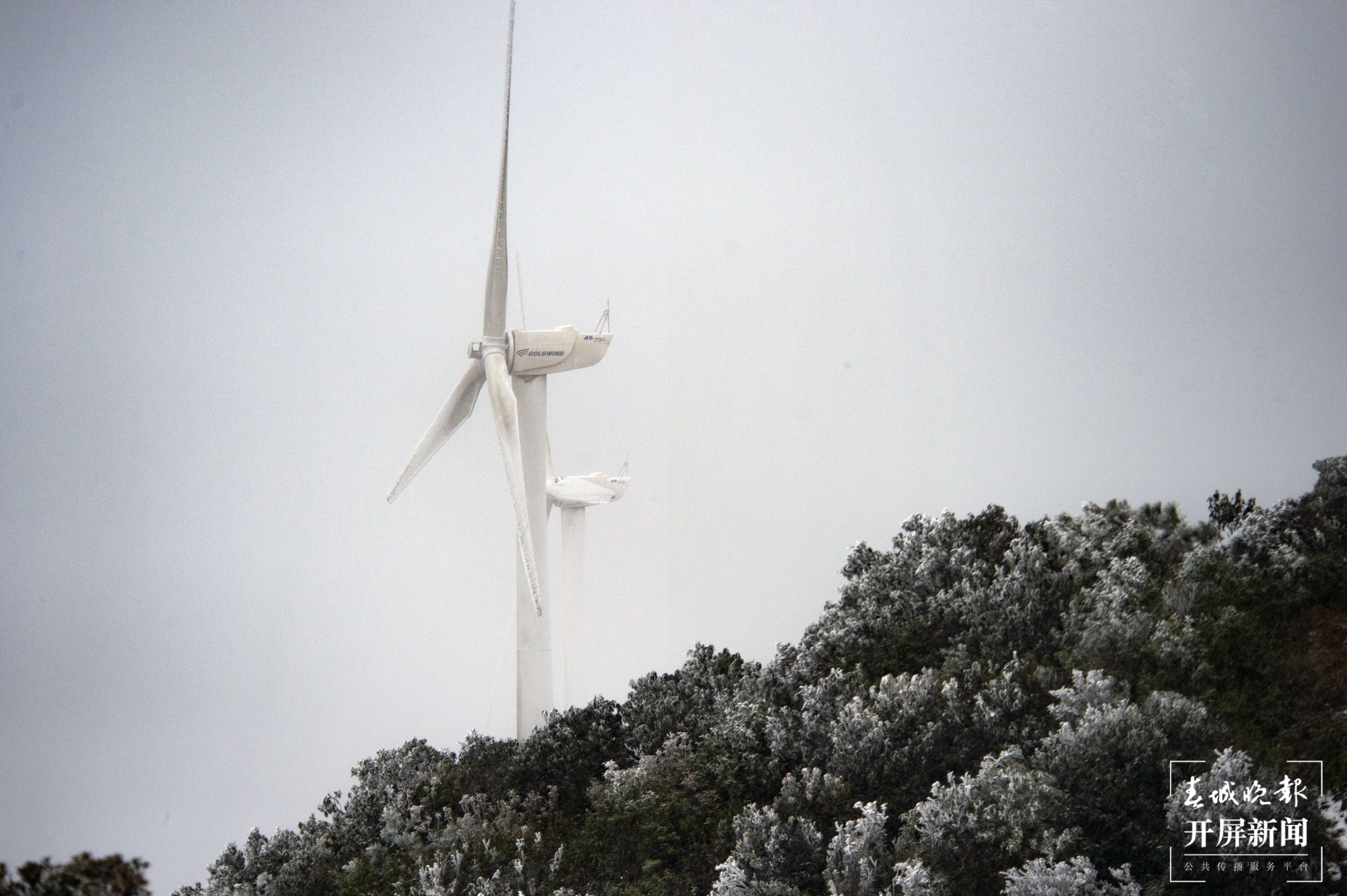 者磨山雾凇奇观,惊艳大理冬日时光! (10).jpg