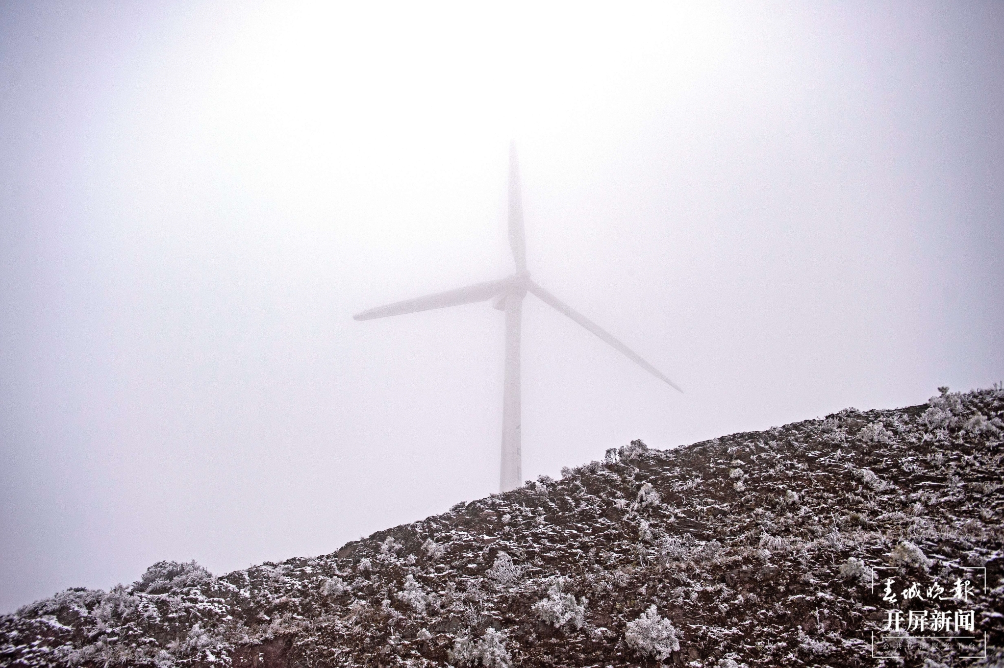 者磨山雾凇奇观,惊艳大理冬日时光! (9).jpg