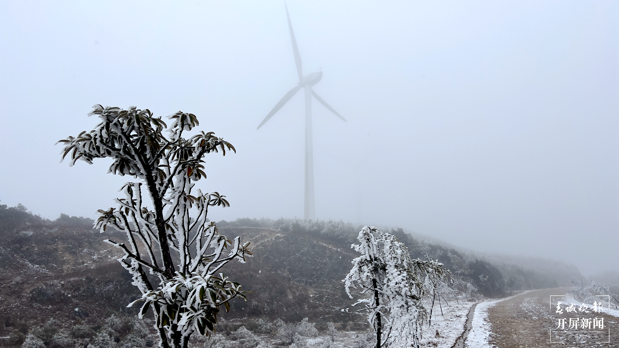 者磨山雾凇奇观,惊艳大理冬日时光! (20).png