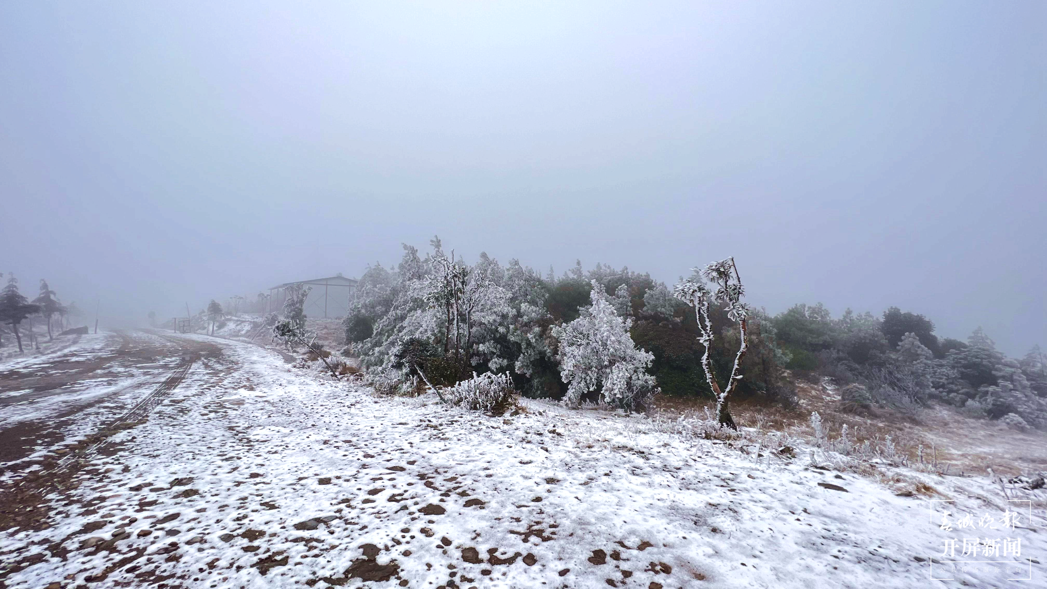 者磨山雾凇奇观,惊艳大理冬日时光! (13).png