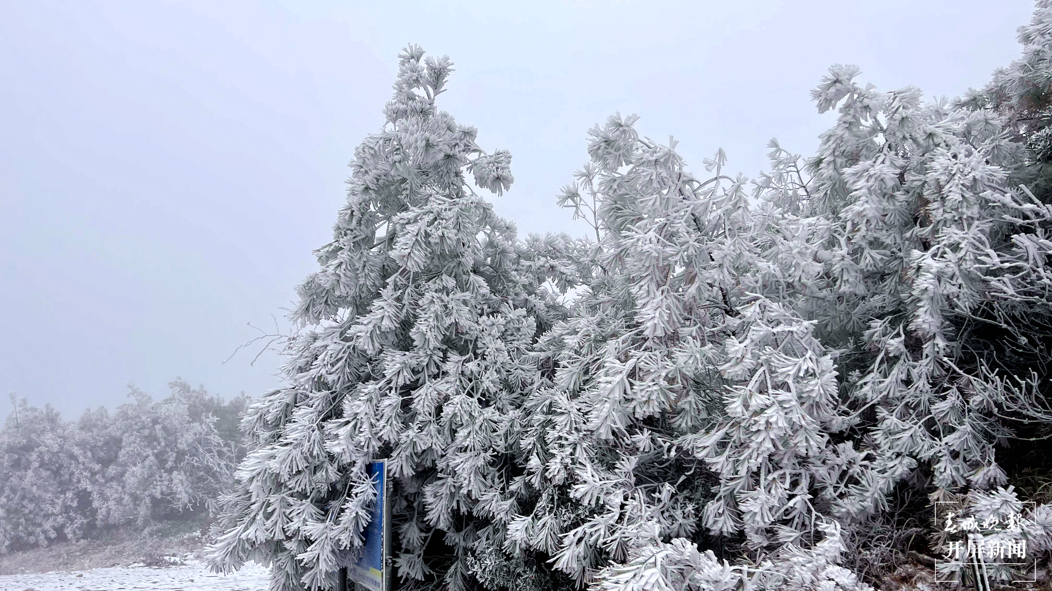 者磨山雾凇奇观,惊艳大理冬日时光! (12).png