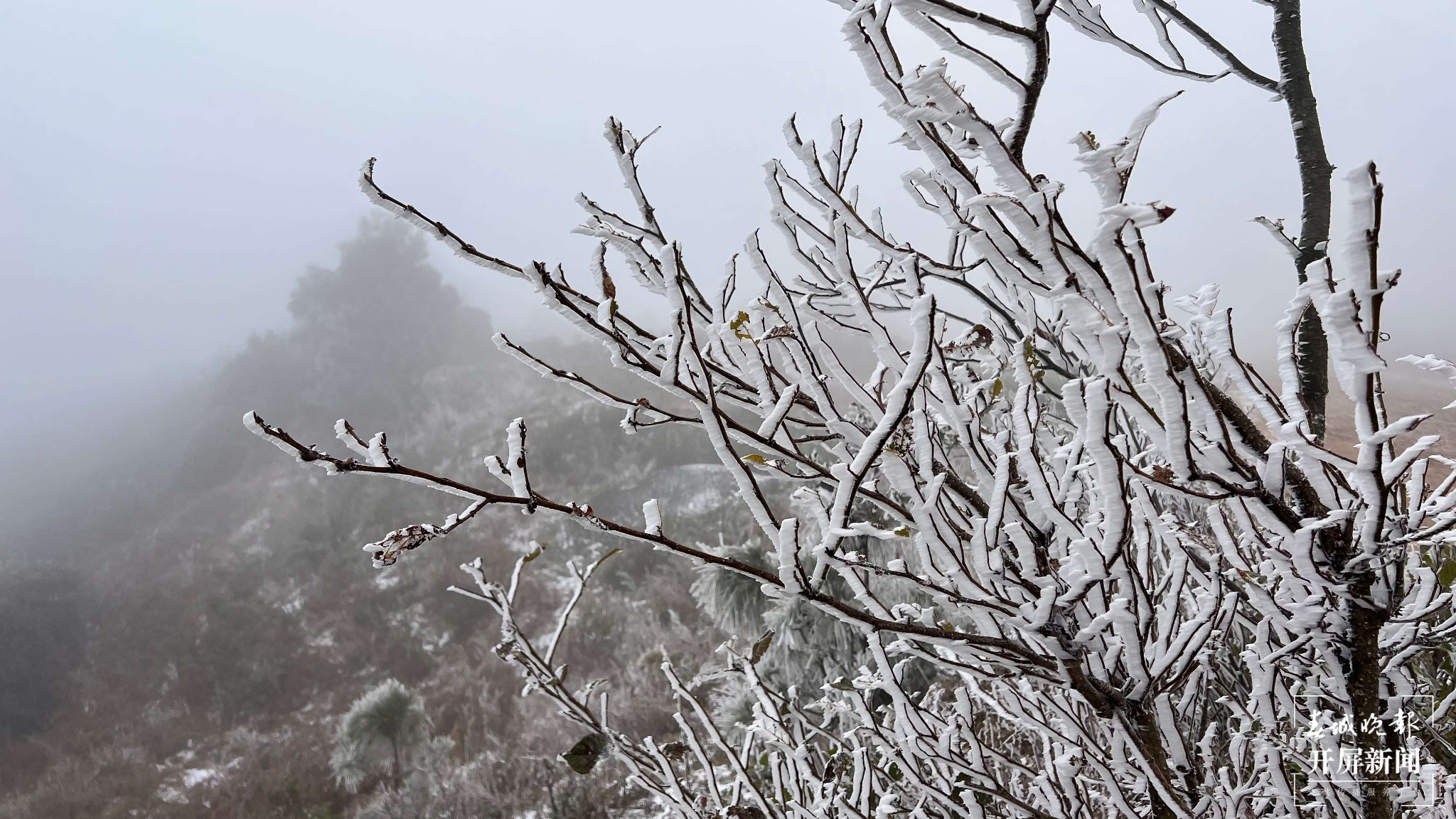 者磨山雾凇奇观,惊艳大理冬日时光! (14).jpg