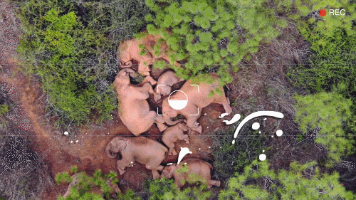 1310683332_16710743291491n