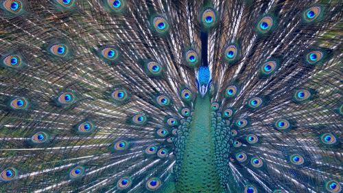 这首云南Rap歌名里的秘密 这首云南Rap歌名里的秘密