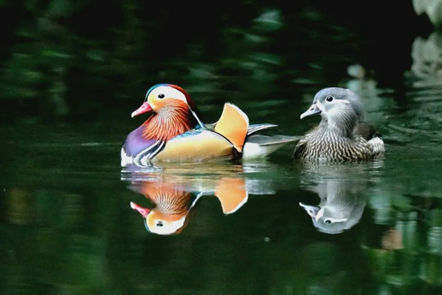 微信图片_20221222155831