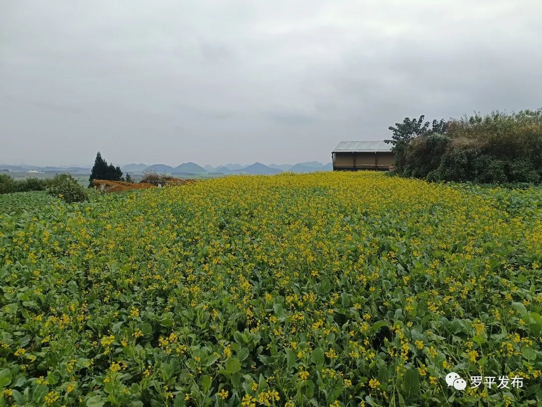 微信图片_20221222084137.jpg 图片