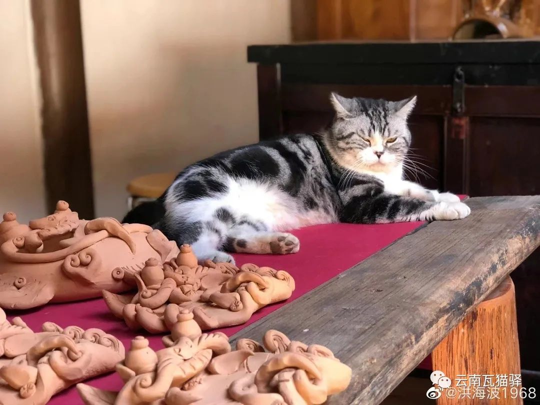 f1f1fbfcb9718750708cf03b6026e15.jpg 图片