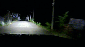 惊险追捕、护人护象,这是他们的戍边生活