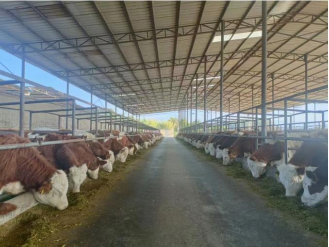 1676339143306263.jpg 02.jpg