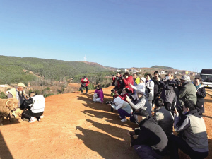 61171676480557254 61171676480557254