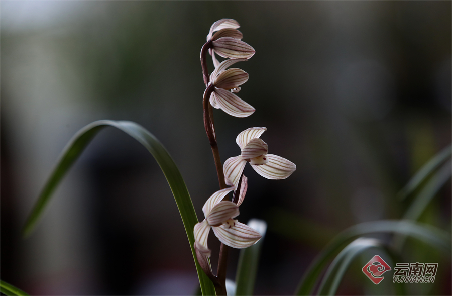 00305264097_9344257d 00305264097_9344257d