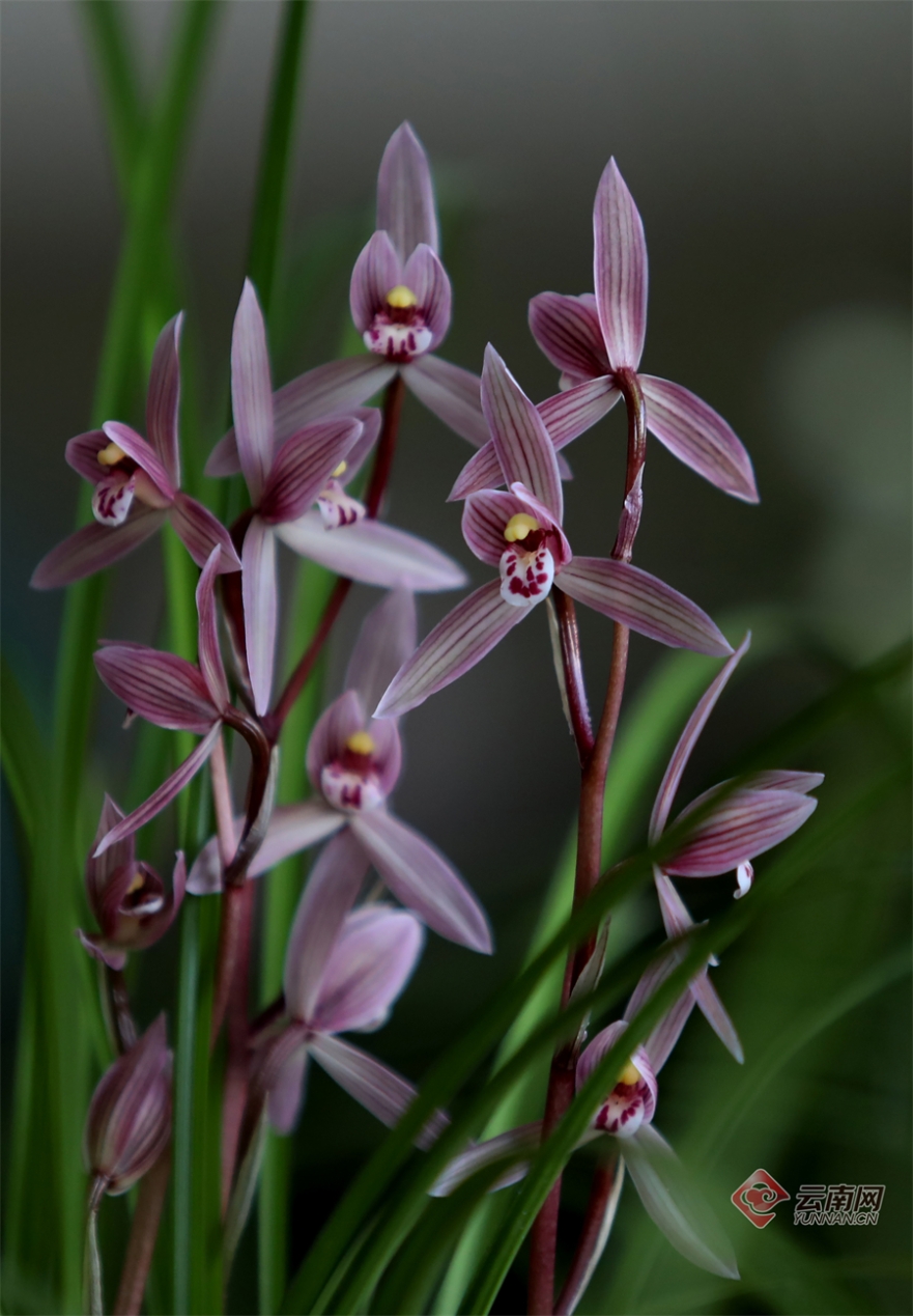 00305264098_a370fa06 00305264098_a370fa06