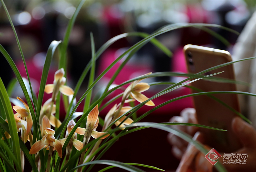 00305264099_04bb1c9e 00305264099_04bb1c9e