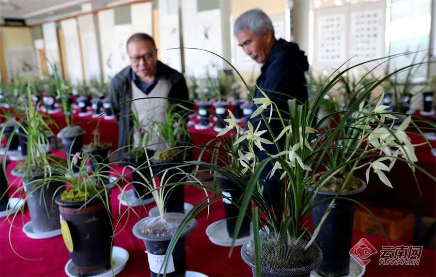 00305264101_632e60a8 00305264101_632e60a8