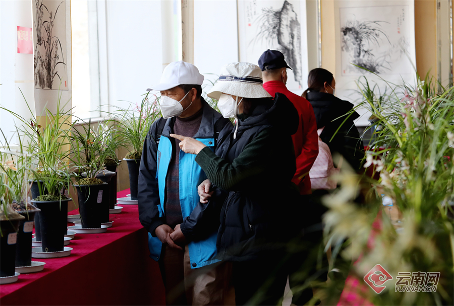 00305264102_3c075fac 00305264102_3c075fac