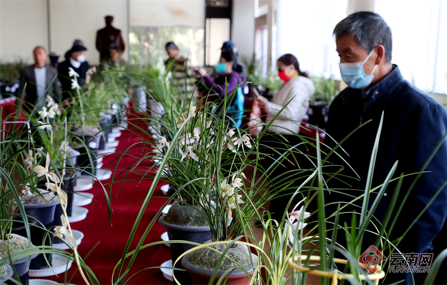 00305264104_857712f9 00305264104_857712f9