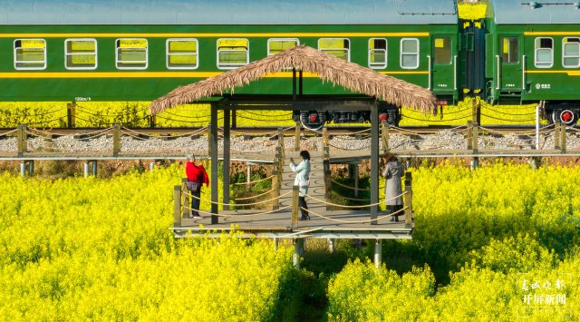 沙堤余家沟下村的油菜花海（宋光旭摄） (7).jpg