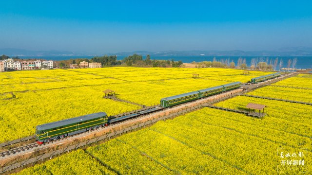 沙堤余家沟下村的油菜花海（宋光旭摄） (8).jpg