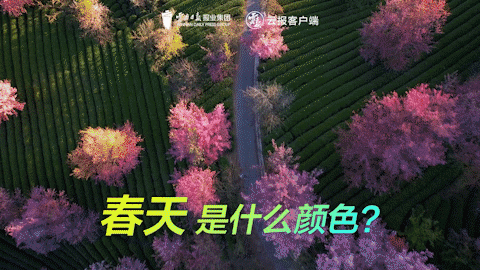 有一种叫云南的生活｜这个春天，总要来云南一趟吧！