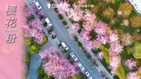 有一种叫云南的生活｜这个春天，总要来云南一趟吧！