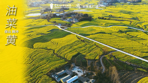 有一种叫云南的生活｜这个春天，总要来云南一趟吧！