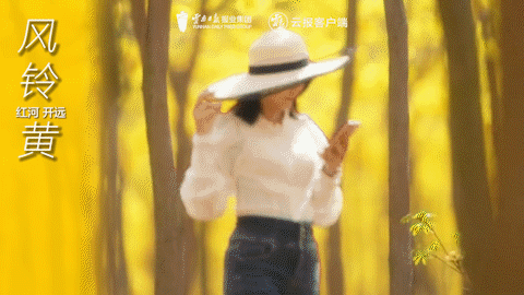 有一种叫云南的生活｜这个春天，总要来云南一趟吧！