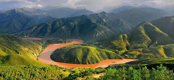 了不起的云南古茶树红河