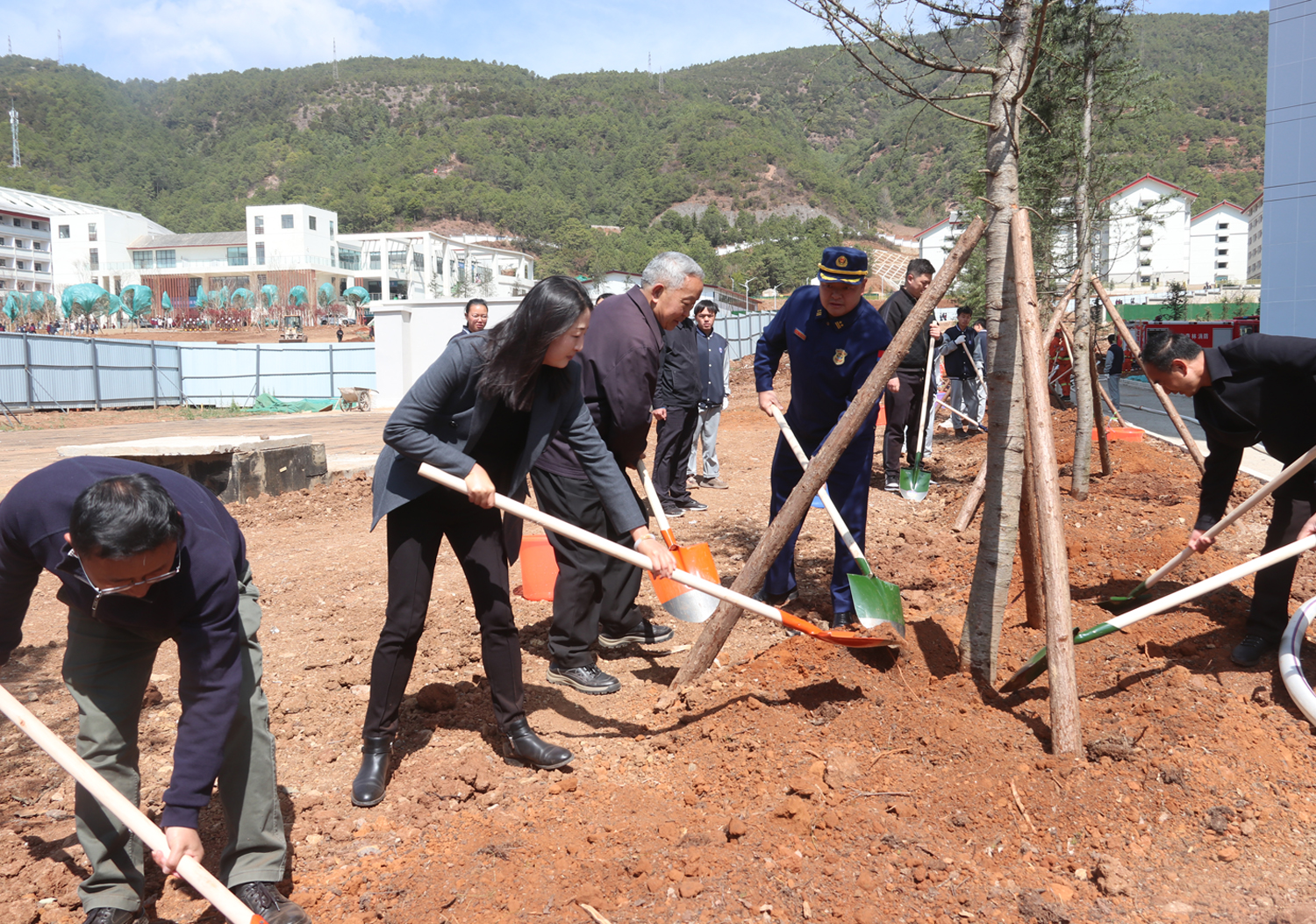 图为培土护苗。木晓东摄