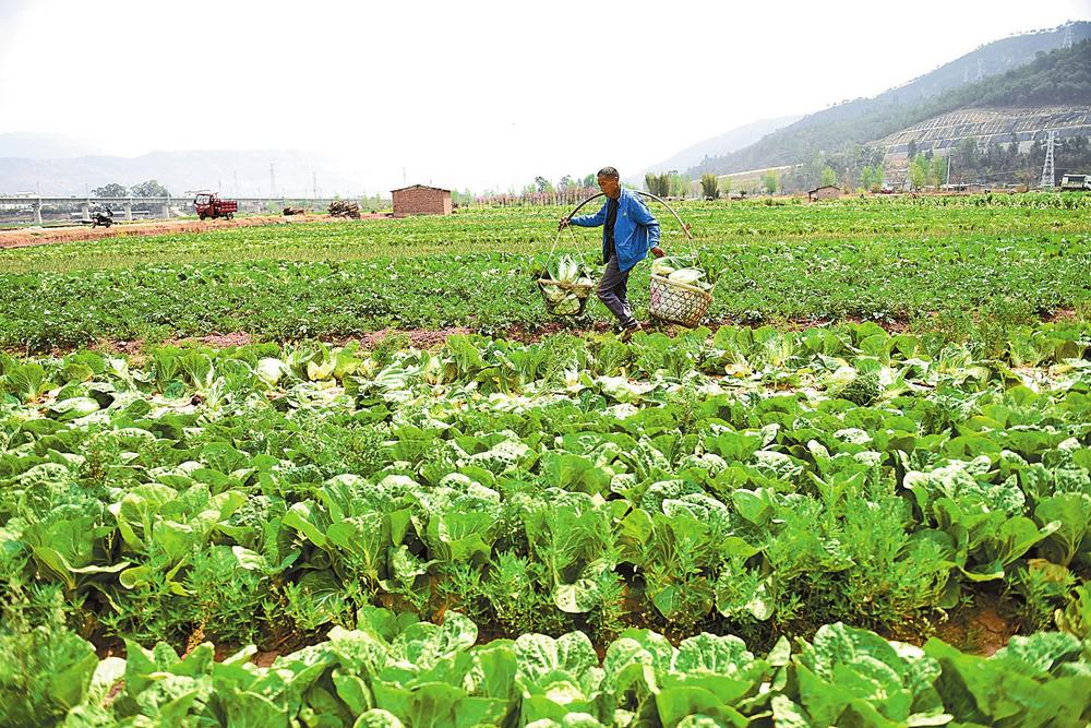 微信图片_20230331085319