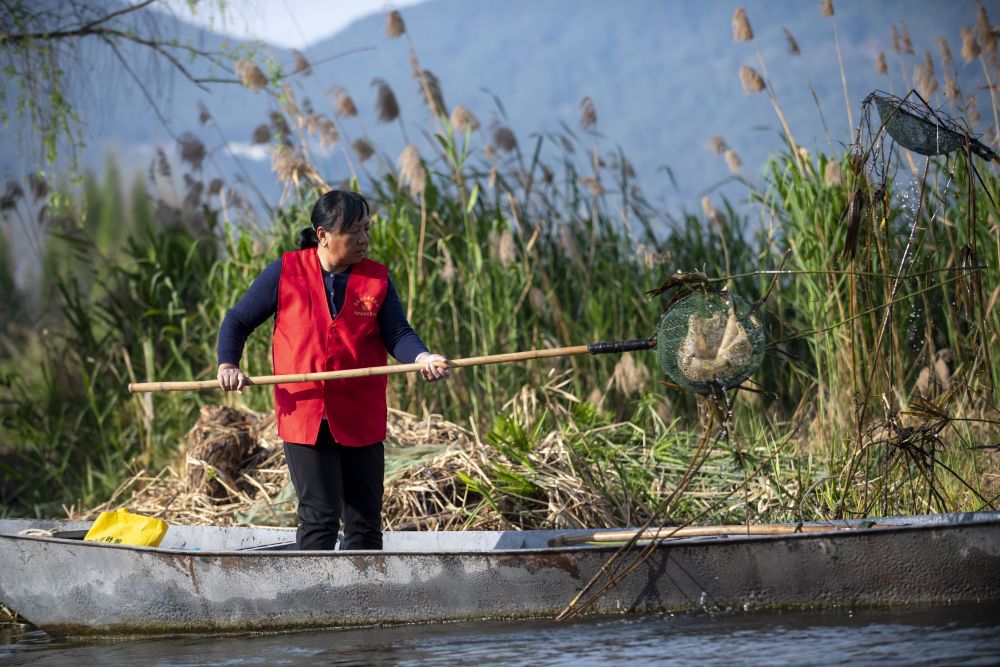守护滇池三十余载！致敬巾帼打捞队17.jpg
