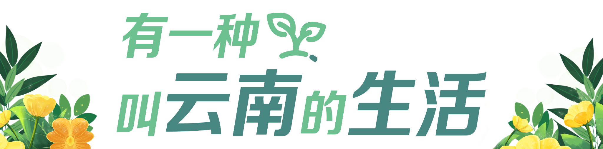 有一种叫云南的生活(栏题)