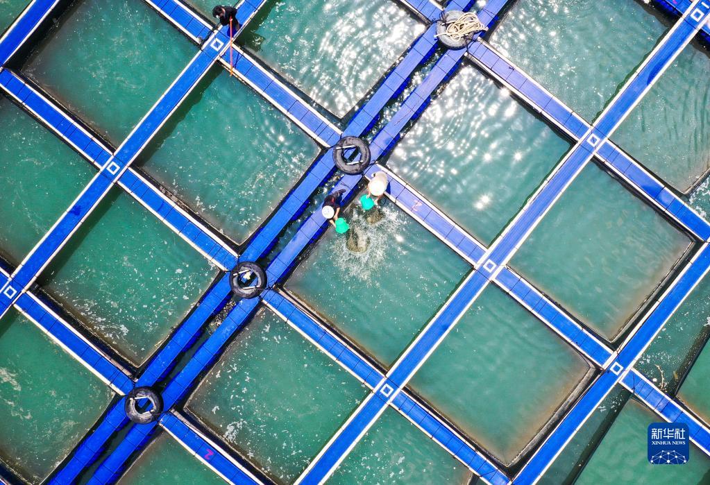 1129601822_16836439467141n