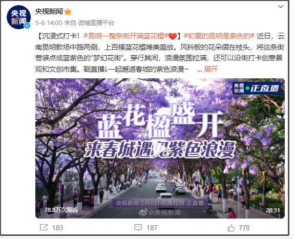 有一种叫云南的生活｜呀！云南又被cua惹~