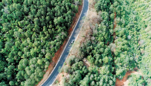 从寻甸县柯渡镇出发，沿着山路一路前行40分钟才能到达松林村。记者杜文蕾摄