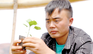 左杰悉心培育工业辣椒苗。