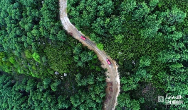 高黎贡山保山隆阳段首次清晰记录到贡山羚牛活动影像（春城晚报-开屏新闻记者 崔敏 通讯员 莽红升 金润 李家华 段赛勇 摄）