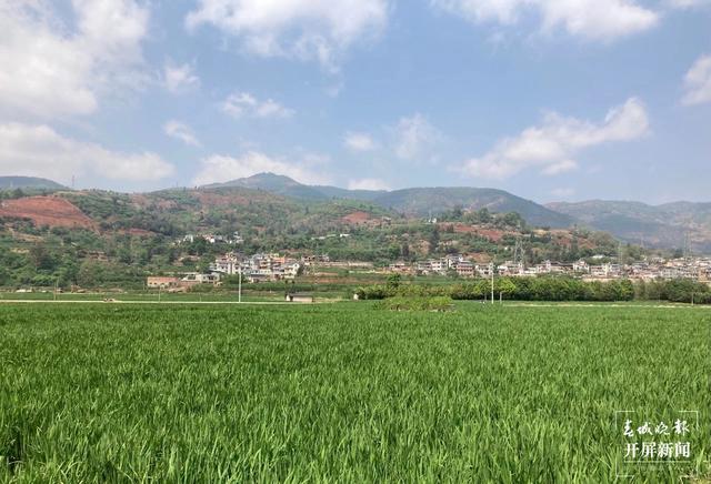 富民县4月底将建成高标准农田1.85万亩 受益周边农户达15000余人