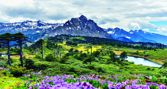 16、春到孔雀山- （贡德公路垭口）张军摄.jpg