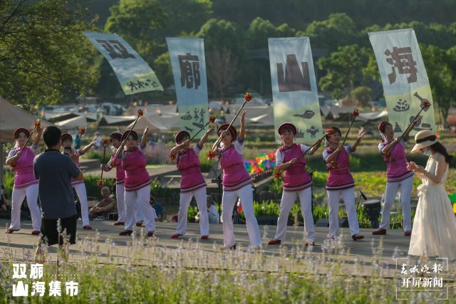 （昆滇传内容）有一种叫云南的生活 到大理双廊赶一种很新的“集”（有视频） (8).jpg