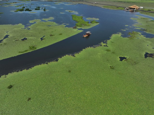 北海湿地航拍20230528刘正凡摄 (17).JPG