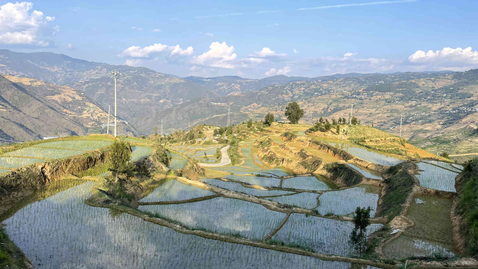 农田披绿装 “改”出致富“米粮仓”