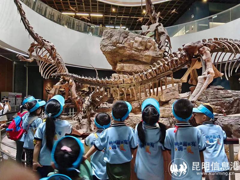 微信图片_20230731225956