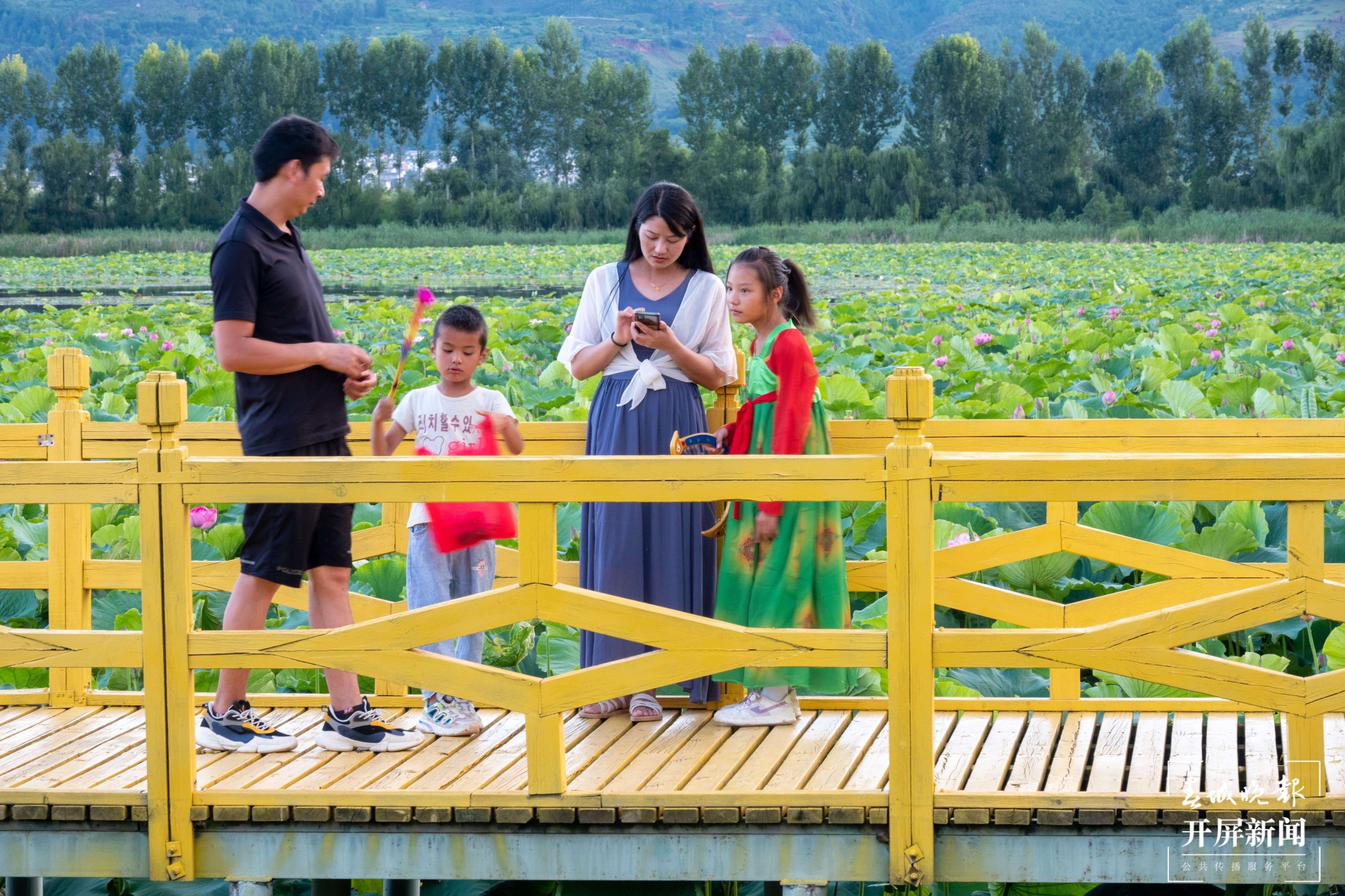 （昆滇传内容）有一种叫云南的生活 大理洱源茈碧湖：度夏赏荷正当时（有视频） (14).jpg