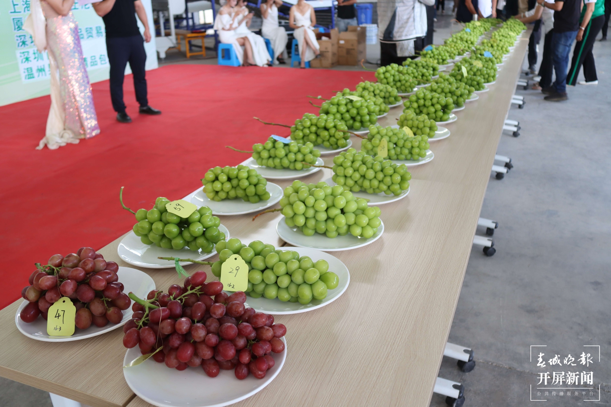 (昆滇传内容)品评风味！大理宾川60位“葡萄种植达人”同台PK (3).JPG