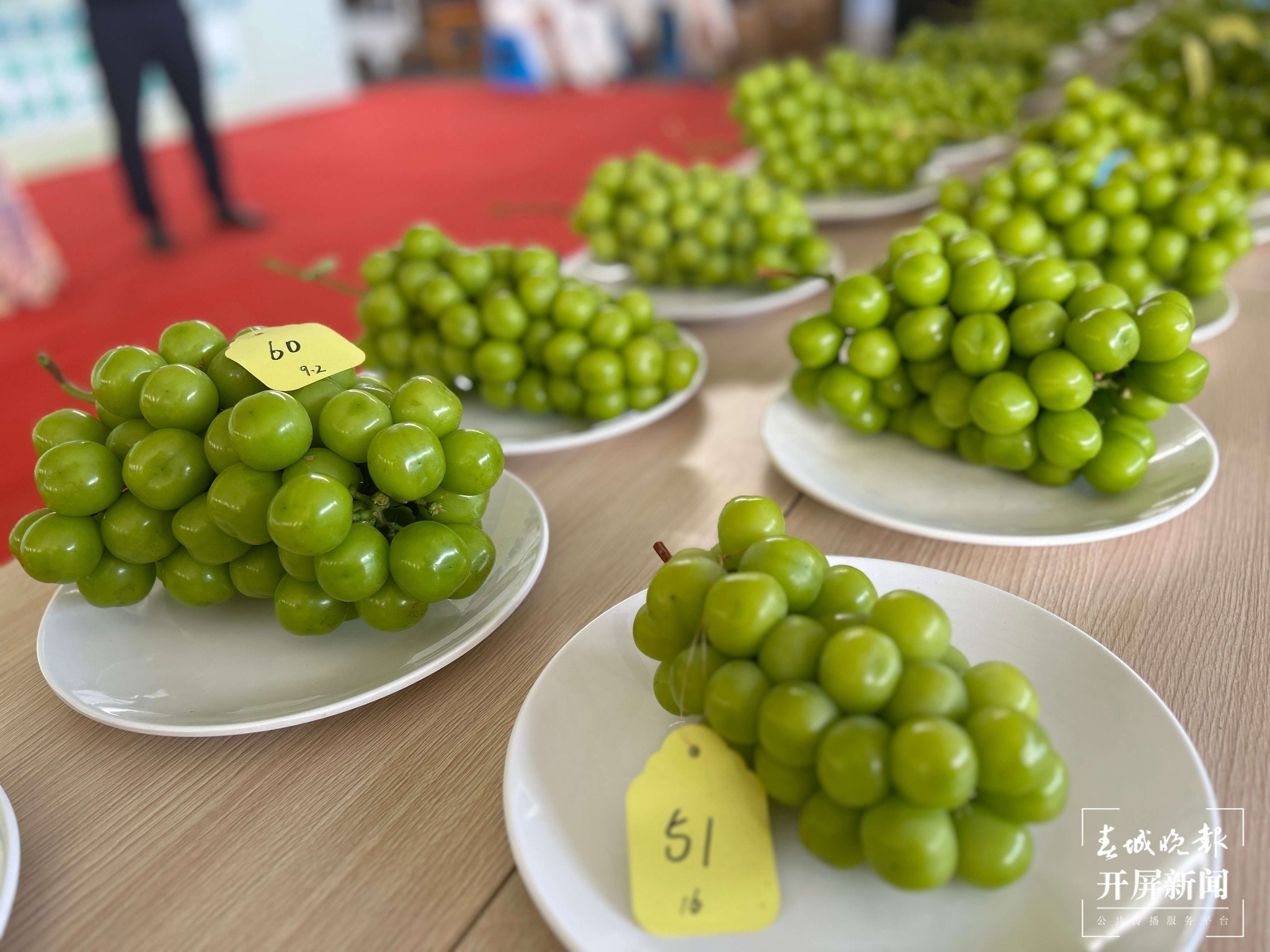 (昆滇传内容)品评风味！大理宾川60位“葡萄种植达人”同台PK (2).jpg