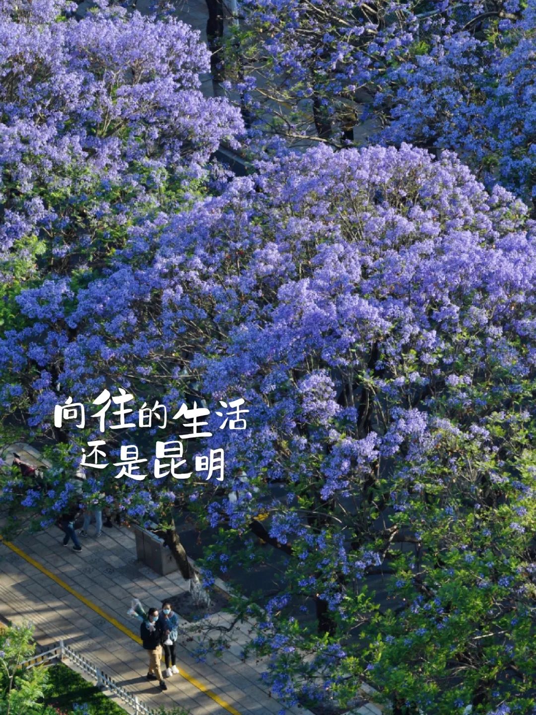 微信图片_20230519180028.jpg 图片