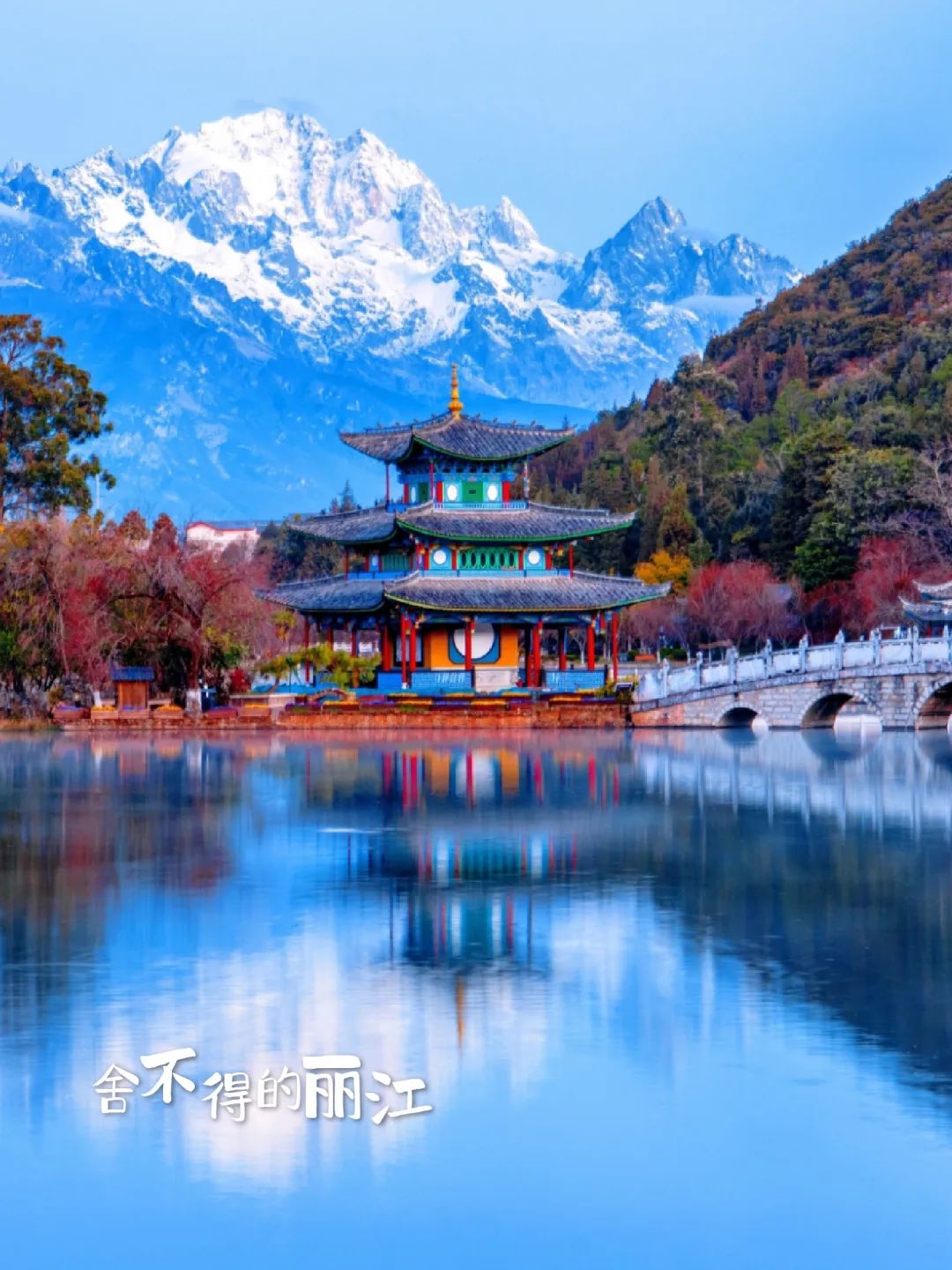 旅游_画板 1 副本 8.jpg 图片